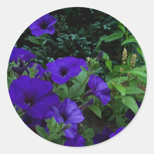 BC zomertuinen 3 Ronde Sticker (Voorkant)