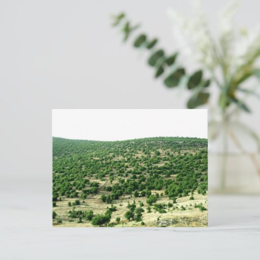 Bcharre, Libanon Briefkaart (Staand voorkant)