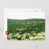 Bcharre, Libanon Briefkaart (Voorkant / Achterkant)