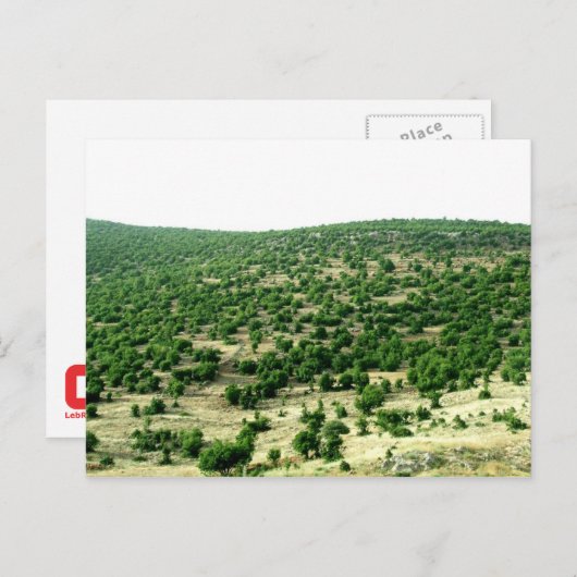 Bcharre, Libanon Briefkaart (Voorkant / Achterkant)