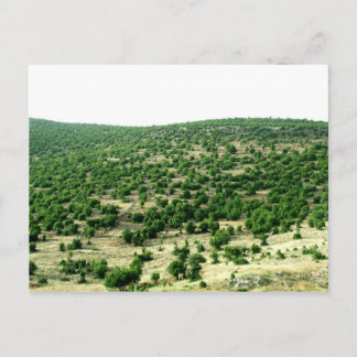 Bcharre, Libanon Briefkaart