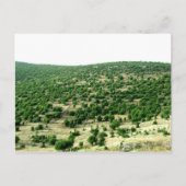 Bcharre, Libanon Briefkaart (Voorkant)