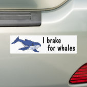 BD- I-rem voor walvissen bumper sticker (Op auto)