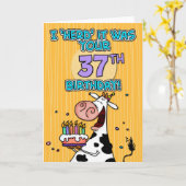 bd koe - 37 kaart (Gele Bloem)