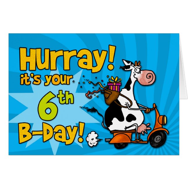 bd - scooterkoe - 6 (Voorkant Horizontaal)