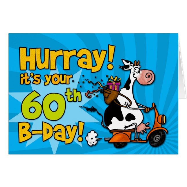 bd - scooterkoe - 60 (Voorkant Horizontaal)