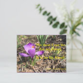 BE A FRIEND-THOREAU-BRIEFKAART BRIEFKAART (Staand voorkant)