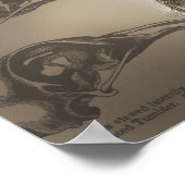 Be Charles Darwin Poster (Hoek)