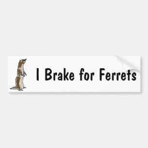 BE- I Rem voor Bumpersticker van fretten