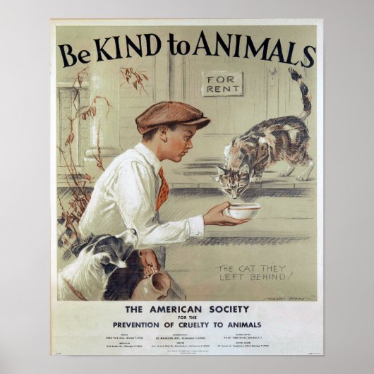 Be Kind to Animals-Cats Poster (Voorkant)