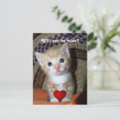 Be Mine Kitten Briefkaart (Staand voorkant)