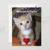 Be Mine Kitten Briefkaart (Voorkant / Achterkant)