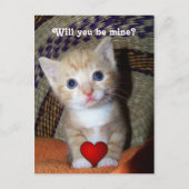 Be Mine Kitten Briefkaart (Voorkant)