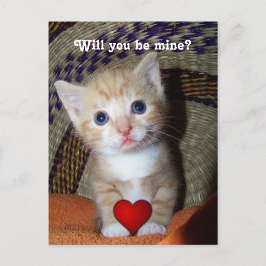 Be Mine Kitten Briefkaart (Voorkant)