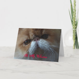 Be My Valentijn perzische kattenkaart Feestdagen Kaart