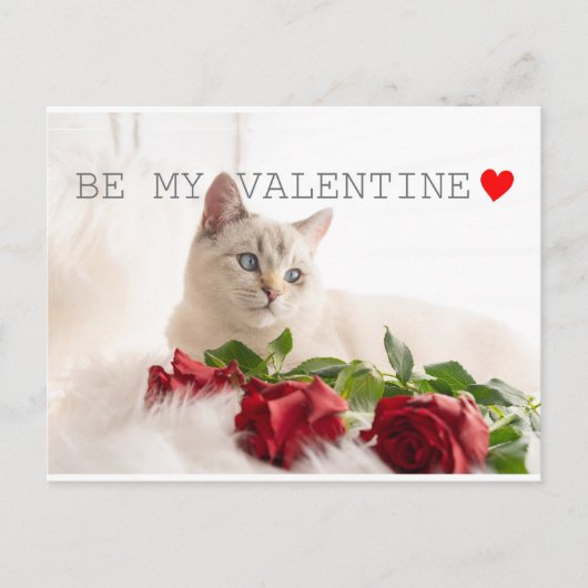 Be my Valentine Briefkaart (Voorkant)