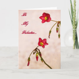 Be my Valentine Feestdagen Kaart