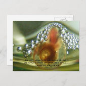 Be not afraid of growing slowly, be a... briefkaart (Voorkant / Achterkant)