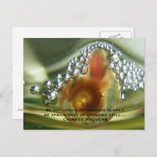 Be not afraid of growing slowly, be a... briefkaart (Voorkant / Achterkant)