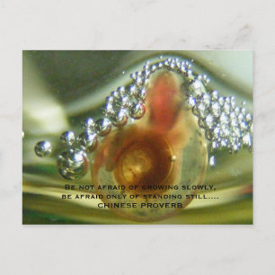 Be not afraid of growing slowly, be a... briefkaart