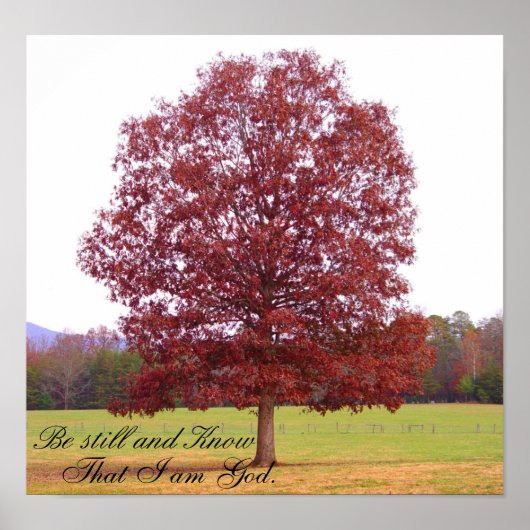 Be Still Poster (Voorkant)