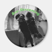 Bea-Streaming Honden Magneet (Voorkant)