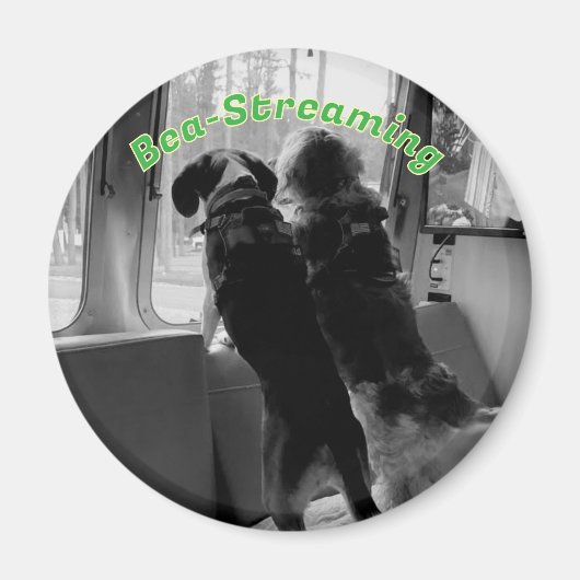Bea-Streaming Honden Magneet (Voorkant)
