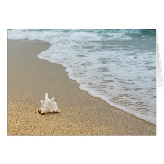 Beach (Voorkant Horizontaal)