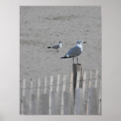 Beach ~ 25,5 poster (Voorkant)