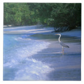 Beach 2 tegeltje (Voorkant)