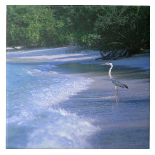 Beach 2 tegeltje (Voorkant)