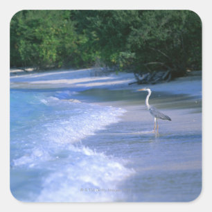 Beach 2 vierkante sticker