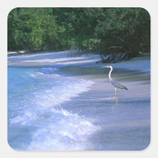 Beach 2 vierkante sticker (Voorkant)