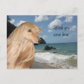 Beach afghan hond briefkaart (Voorkant)
