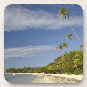 Beach and palm bomen, Plantation Island Resort Bier Onderzetter