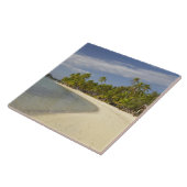 Beach and palm bomen, Plantation Island Resort Tegeltje (Zijkant)