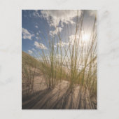 Beach and Sun Natuur Photo Briefkaart (Voorkant)
