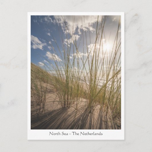 Beach and Sun Natuur Photo Briefkaart (Voorkant)