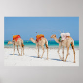 Beach Animals Poster