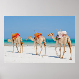 Beach Animals Poster