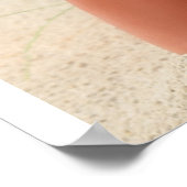 Beach Babe Poster (Hoek)