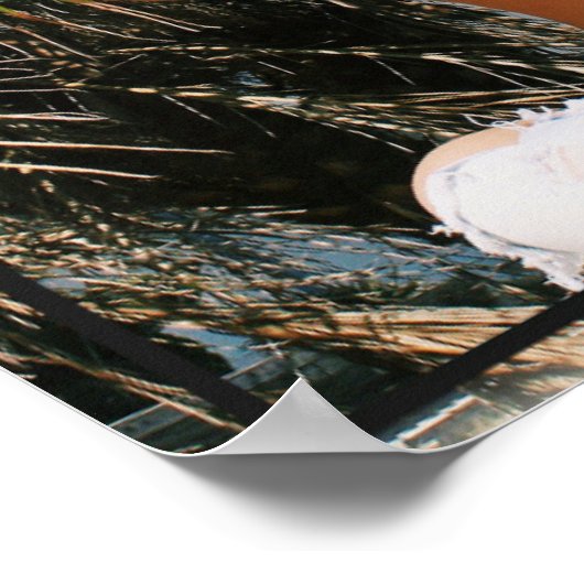 Beach Babe Tanning Poster (Hoek)