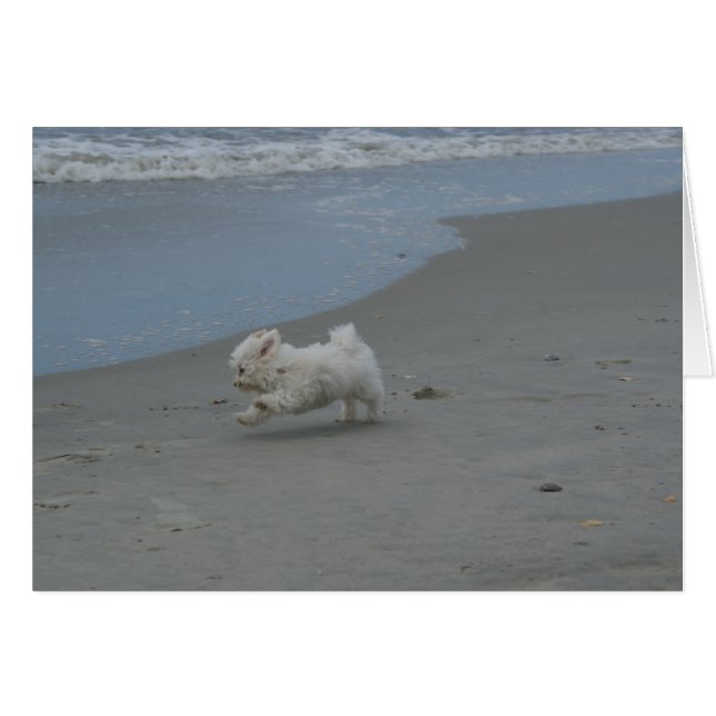 Beach Baby (Voorkant Horizontaal)