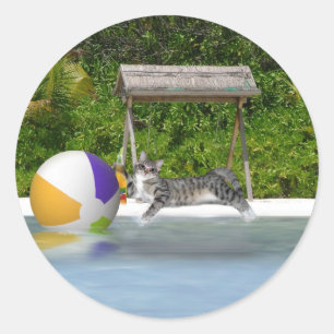 Beach Ball Kat Ronde Sticker