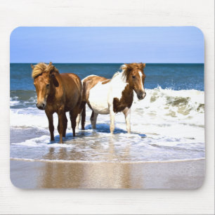 Beach Beauties Horses muispad Muismat