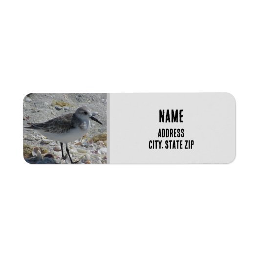 Beach Bird Natuur Foto Gray Coastal Animal Etiket (Voorkant)