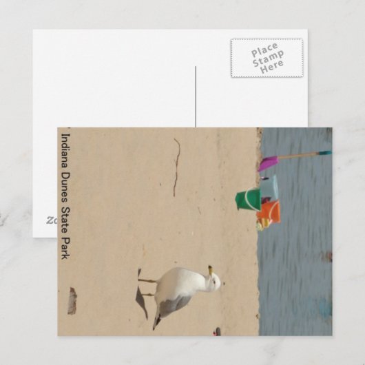 Beach Birdie Briefkaart (Voorkant / Achterkant)