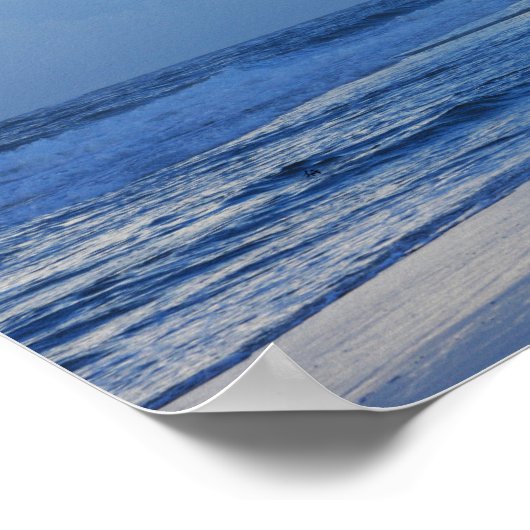 Beach Birds at Dawn 1 Poster (Hoek)