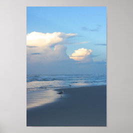 Beach Birds at Dawn 2 Poster