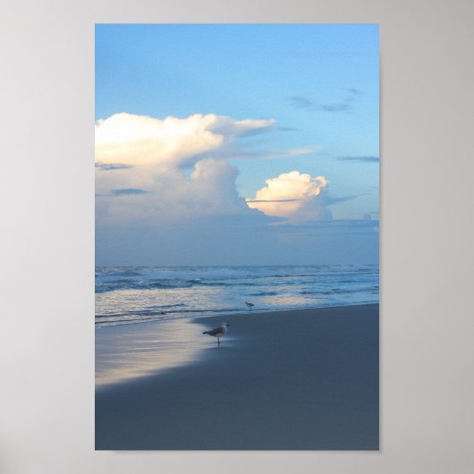 Beach Birds at Dawn 2 Poster (Voorkant)